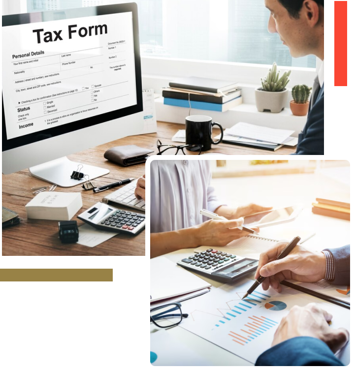 Setting up Business & Licensing, Management Consultancy, Corporate Tax,